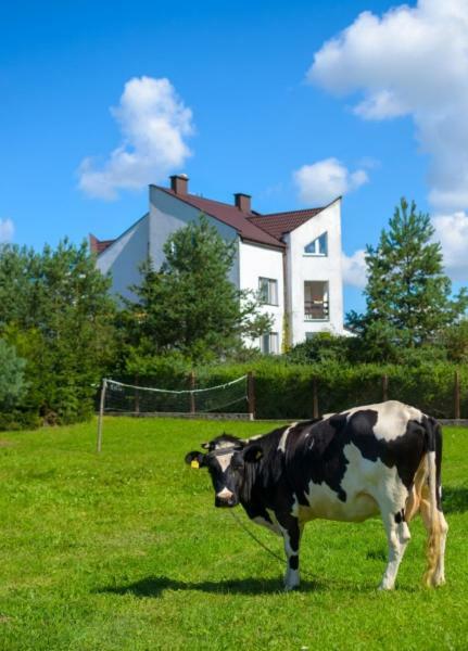 Gospodarstwo Agroturystyczne Jacwing Villa Giby Eksteriør billede